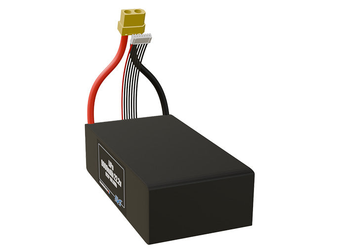 LiPo 9000mAh 6S2P 22.2v Battery Pack