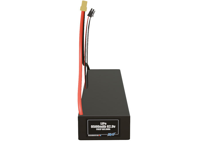 LiPo 9500mAh 17S2P 62.9v Battery Pack