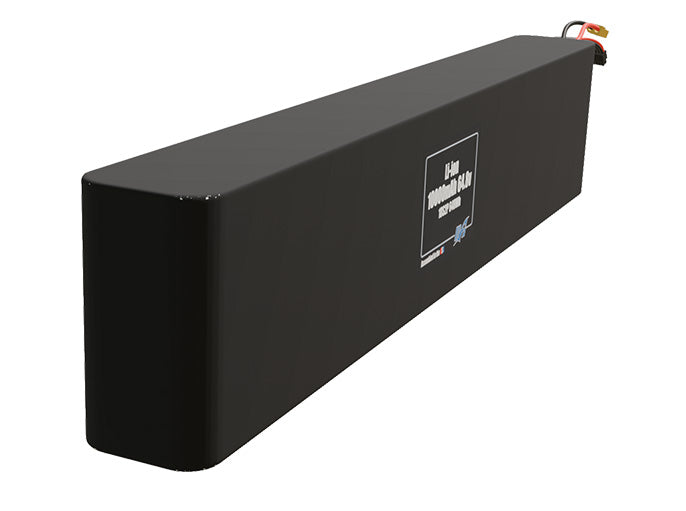 Li-ion 10000mAh 18S2P 64.8v Battery Pack
