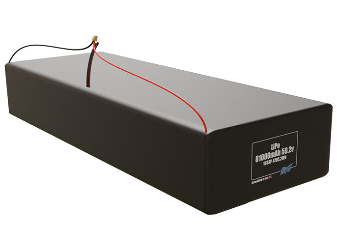 LiPo 81000mAh 16S3P 59.2v Battery Pack