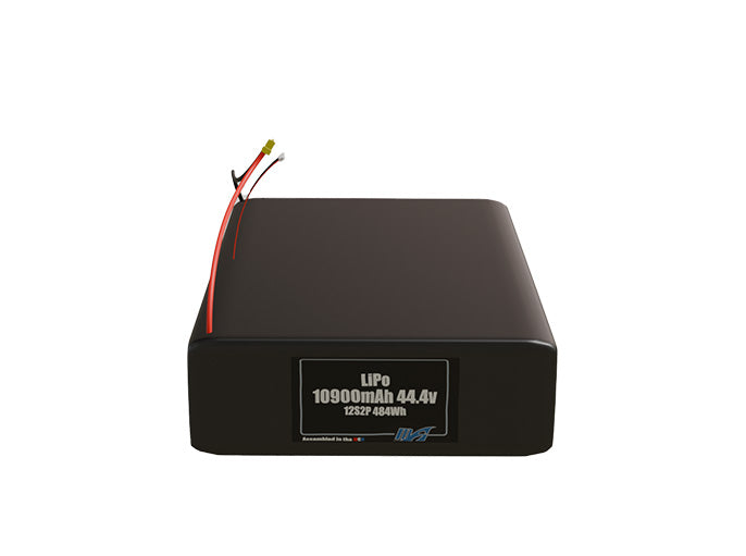 LiPo 10900mAh 12S2P 44.4v Battery Pack