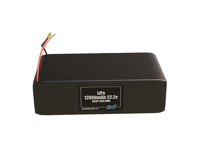 LiPo 12000mAh 6S2P 22.2v Battery Pack