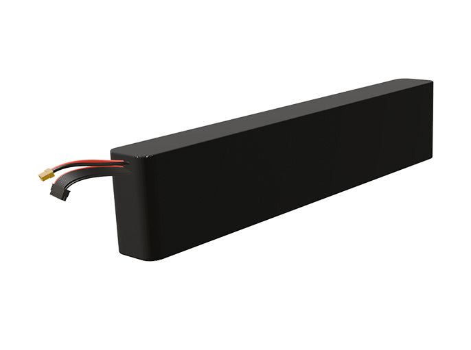 Li-ion 10000mAh 18S2P 64.8v Battery Pack