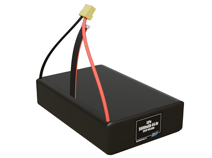 LiPo 5600mAh 12S2P 44.4v Battery Pack