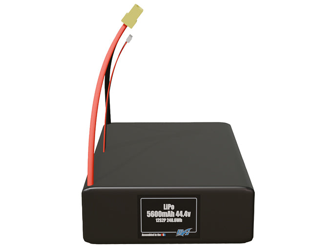 LiPo 5600mAh 12S2P 44.4v Battery Pack
