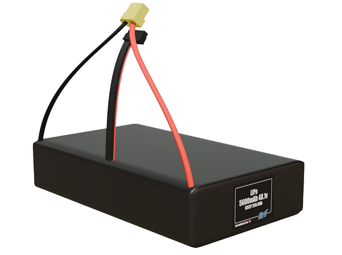 LiPo 5600mAh 13S2P 48.1v Battery Pack