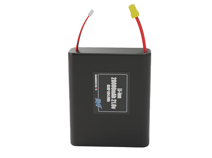 Li-ion 28000mAh 6S8P 21.6v Battery Pack