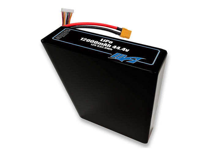 LiPo 12000 12S2P 44.4v Battery Pack