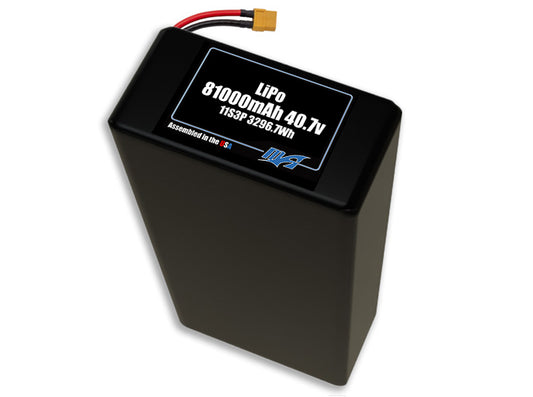 LiPo 81000 11s3p 40.7v Battery