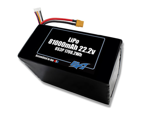 LiPo 81000 6s3p 22.2v Battery