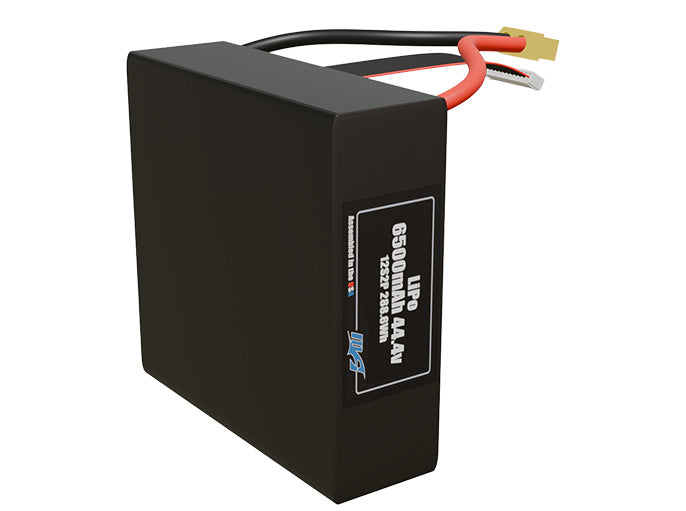 LiPo 6500mAh 12S2P 44.4v Battery Pack