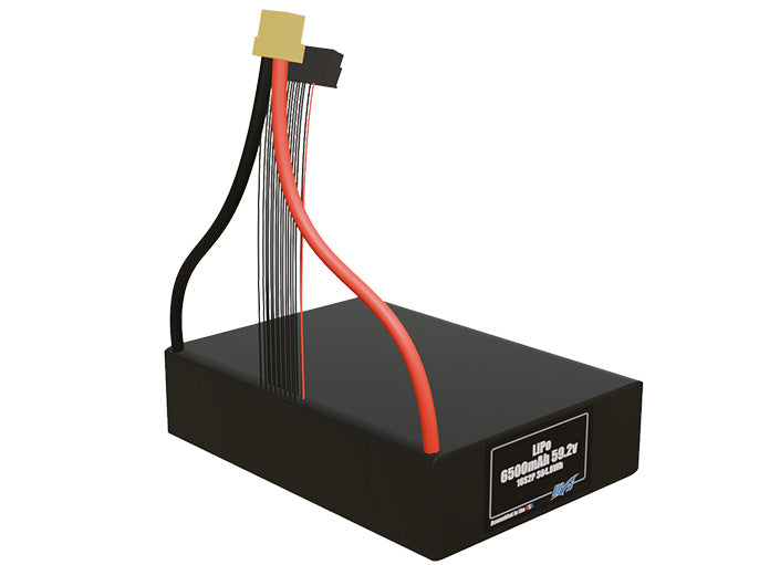 LiPo 6500mAh 16S2P 59.2v Battery Pack