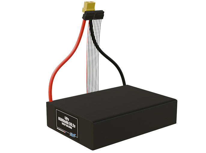 LiPo 6500mAh 16S2P 59.2v Battery Pack
