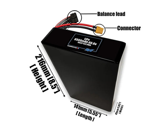LiPo 6500mAh 18S2P 66.6v Battery Pack