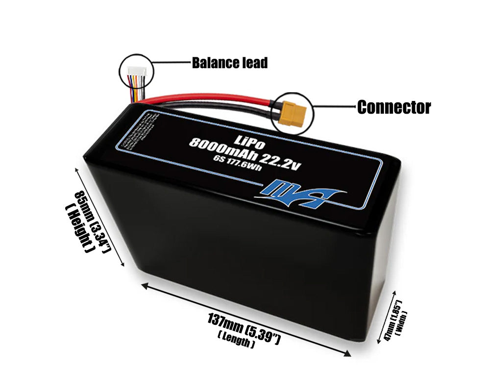 LiPo 8000mAh 6S2P 22.2v Battery Pack