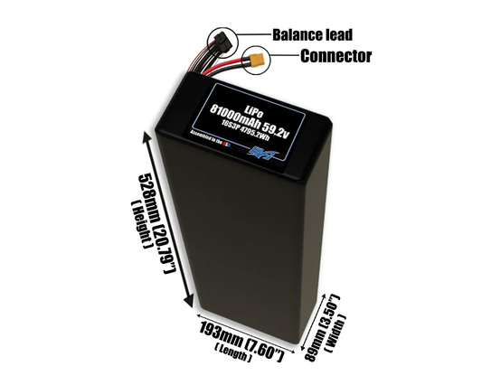 LiPo 81000mAh 16S3P 59.2v Battery Pack