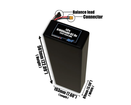 LiPo 81000mAh 17S3P 62.9v Battery Pack