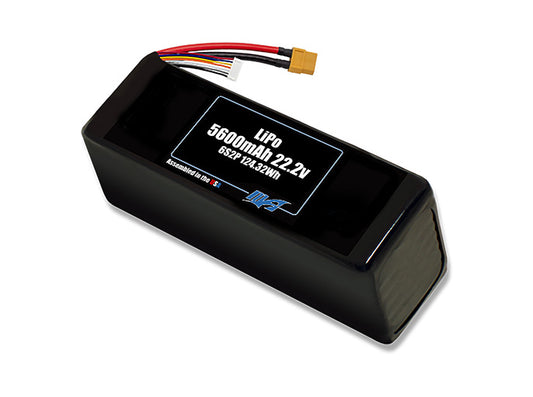 LiPo 5600 6S2P 22.2v Battery Pack